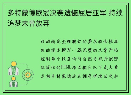 多特蒙德欧冠决赛遗憾屈居亚军 持续追梦未曾放弃