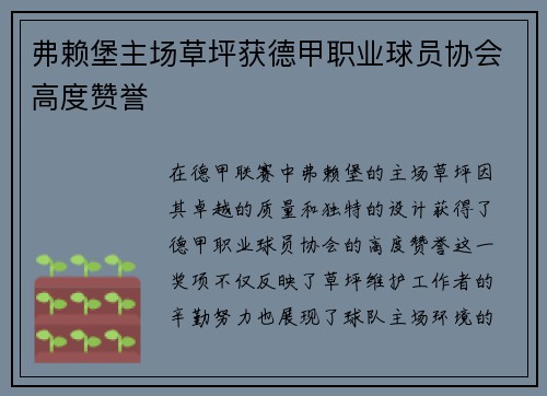 弗赖堡主场草坪获德甲职业球员协会高度赞誉